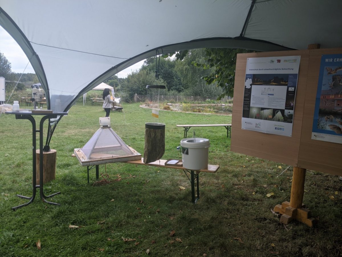 30 Jahre Naturpark Nossentiner/ Schwinzer Heide Tatort Straßenbeleuchtung